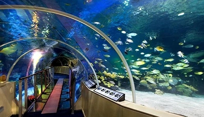 England Aquarium