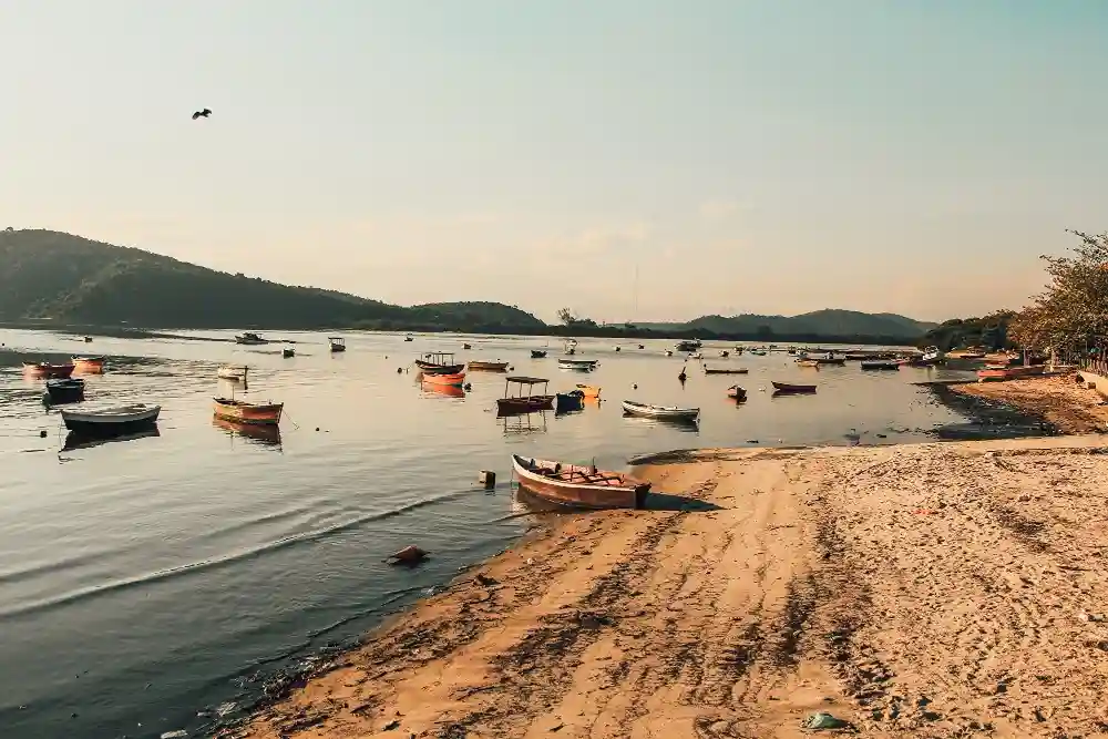 Fisherman&rsquo;s Wharf & Alcatraz Island