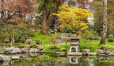 Kyoto Garden
