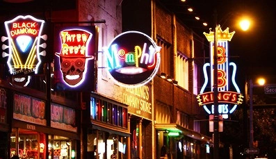 Penguin & Seal Island