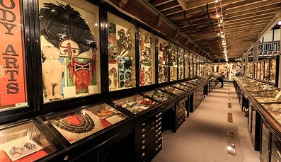 Pitt River Museum