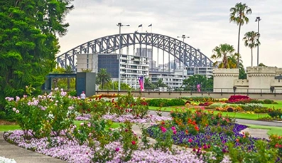 Sydney Garden
