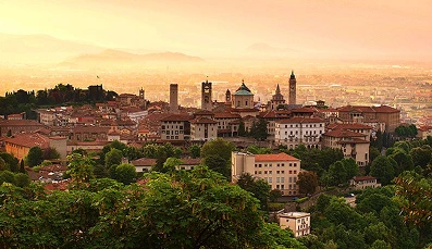 Penguin & Seal Island